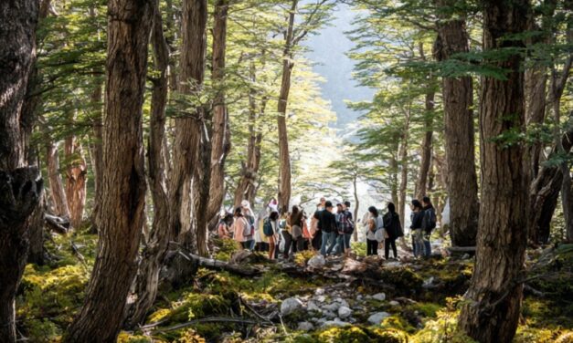 CONAF impulsa jornada para fortalecer la protección y recuperación del bosque nativo en Villa Mañihuales