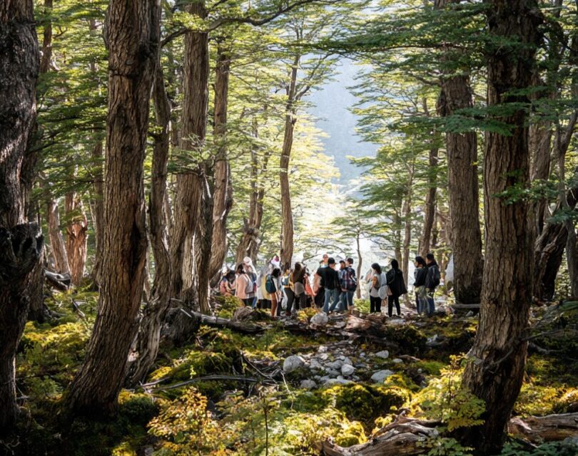 CONAF impulsa jornada para fortalecer la protección y recuperación del bosque nativo en Villa Mañihuales