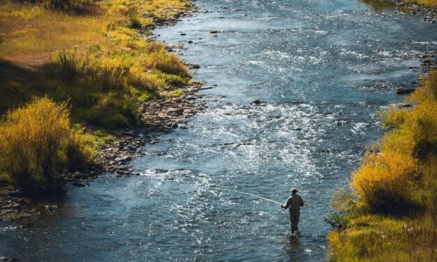 Encuentro de Pesca Deportiva “La Confluencia 2025” se realizará los días 7 y 8 de noviembre a orillas del río Simpson