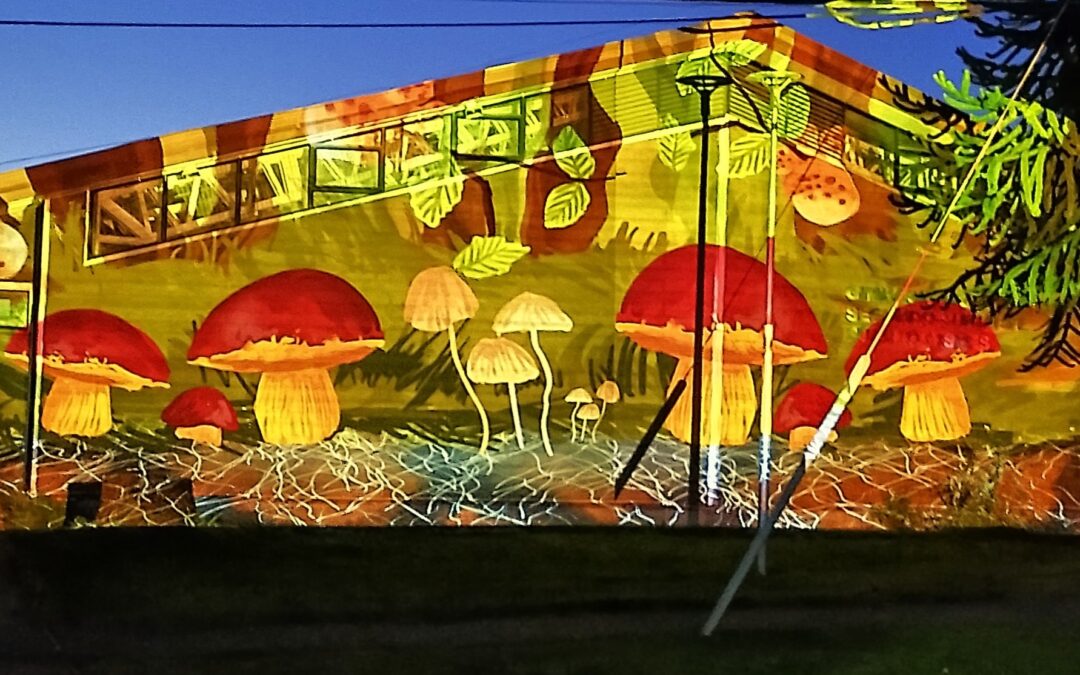Dibujos que cobran vida: Puerto Cisnes vive una noche de luz, arte y naturaleza