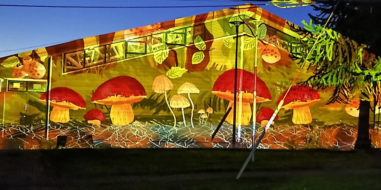 Dibujos que cobran vida: Puerto Cisnes vive una noche de luz, arte y naturaleza