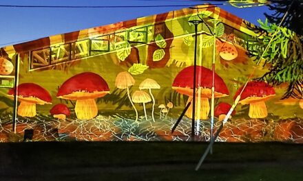 Dibujos que cobran vida: Puerto Cisnes vive una noche de luz, arte y naturaleza