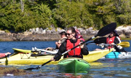 Kayak en el fin del río: una travesía inolvidable en Raúl Marín Balmaceda