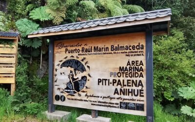 Puerto Raúl Marín Balmaceda: El trabajo local detrás del destino que todos quieren conocer
