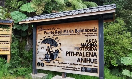 Puerto Raúl Marín Balmaceda: El trabajo local detrás del destino que todos quieren conocer