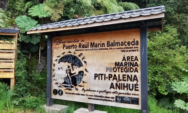 Puerto Raúl Marín Balmaceda: El trabajo local detrás del destino que todos quieren conocer