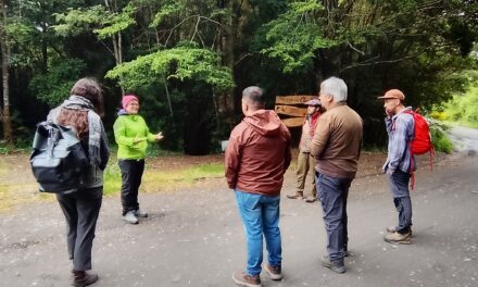 Explorar con los sentidos: senderismo entre naturaleza y silencio en Raúl Marín Balmaceda