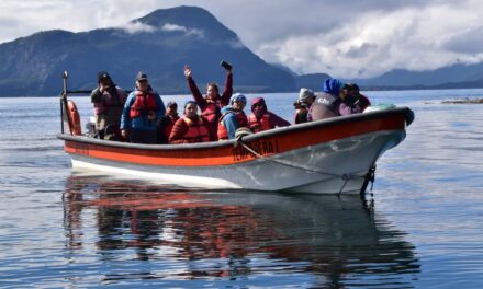 Navegar entre islas y vida silvestre: la experiencia de Willy Expediciones en Raúl Marín Balmaceda