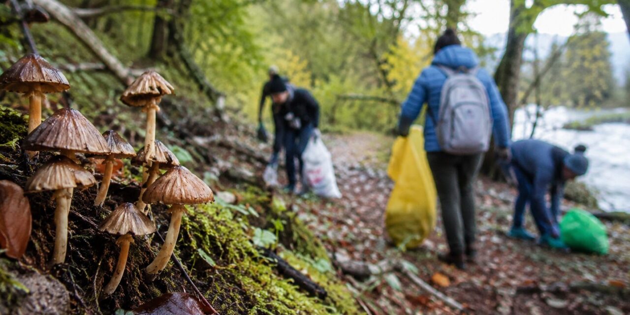 Basura versus biodiversidad: jornada comunitaria busca rescatar un valioso ecosistema en Coyhaique