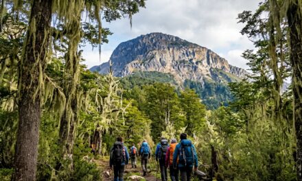 Senderos, flora y patrimonio: La invitación a redescubrir el entorno regional en el Día de los Cerros