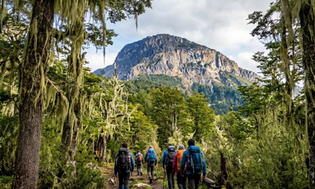 Senderos, flora y patrimonio: La invitación a redescubrir el entorno regional en el Día de los Cerros