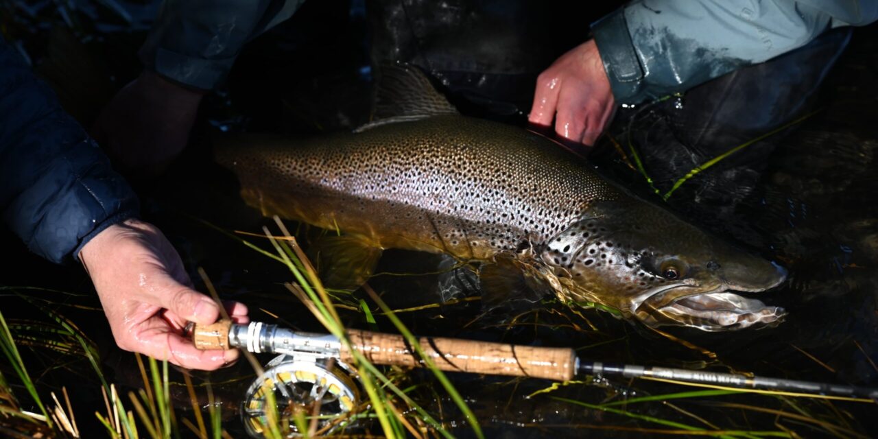 Pesca recreativa en la Patagonia: el río Mañihuales invita a descubrir sus encantos naturales