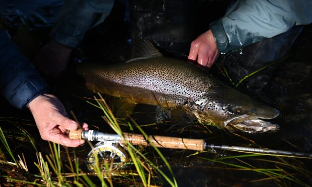 Pesca recreativa en la Patagonia: el río Mañihuales invita a descubrir sus encantos naturales