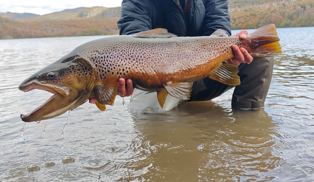 Pesca Deportiva en la Patagonia Chilena: Aysén te espera con sus aguas prístinas y paisajes inigualables