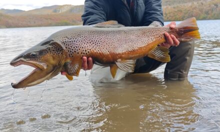 Pesca Deportiva en la Patagonia Chilena: Aysén te espera con sus aguas prístinas y paisajes inigualables